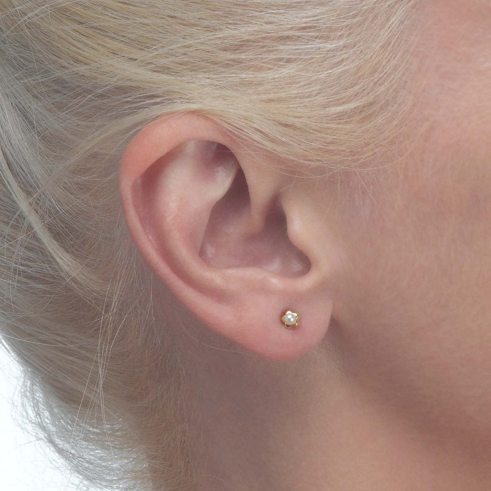 תמונה ממוזערת 2